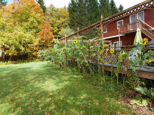 Viking Motel image 23